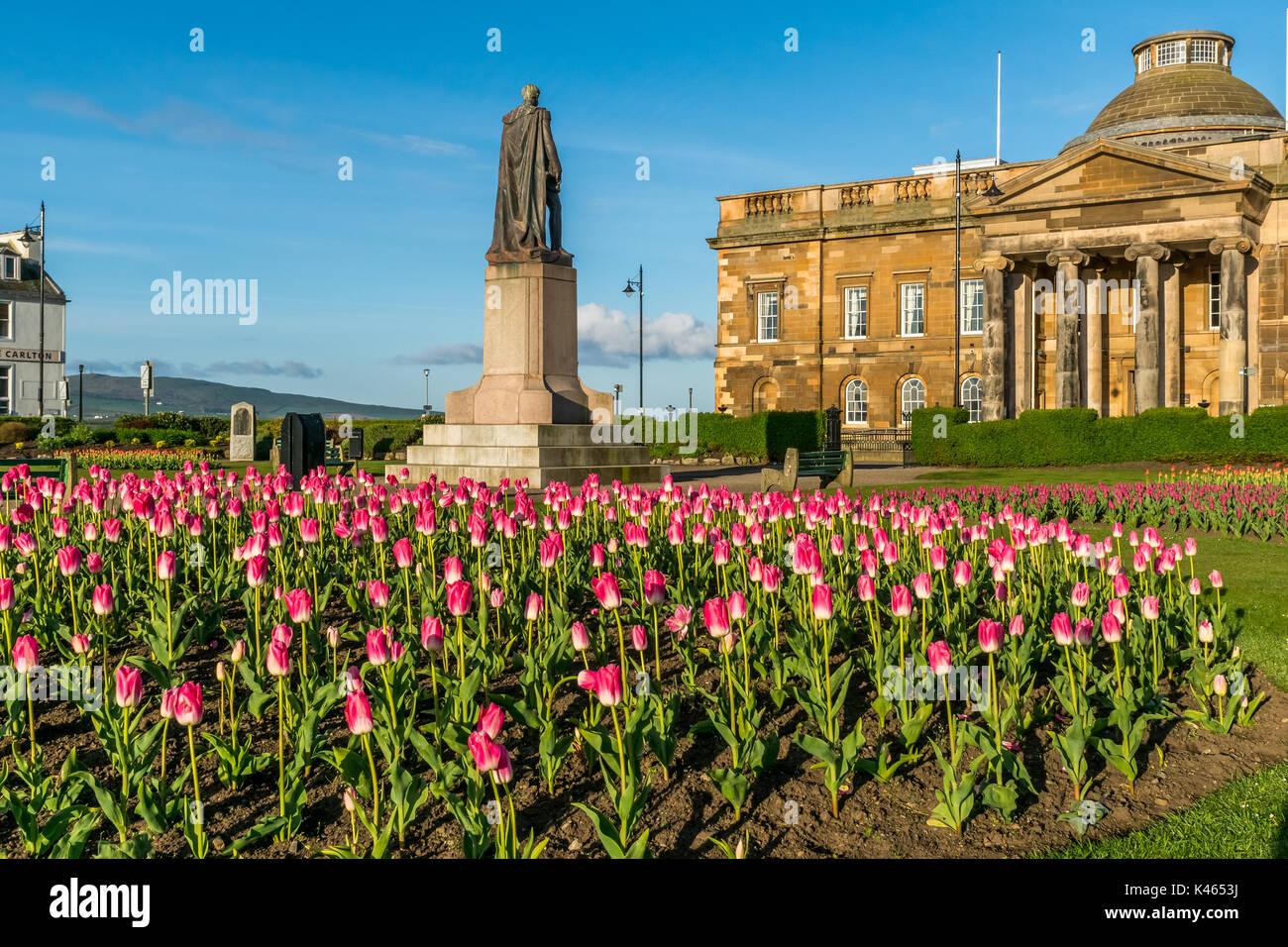 Ayr, Ayrshire, Schottland, 22. April 2017. Tulpen blühen in den Gärten vor Ayr Sherrif Gericht. Stockfoto