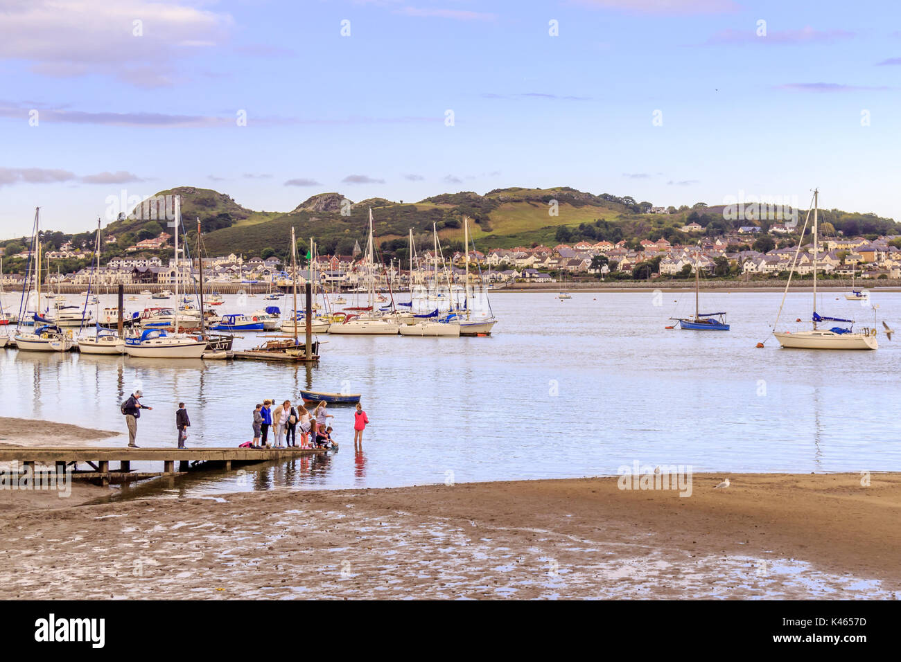 Krabben in Conwy Stockfoto