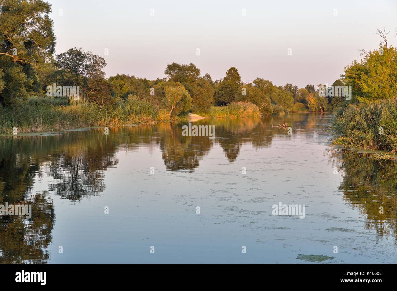 Ros Fluss Sonnenuntergang Sommer Landschaft, zentrale Ukraine. Stockfoto