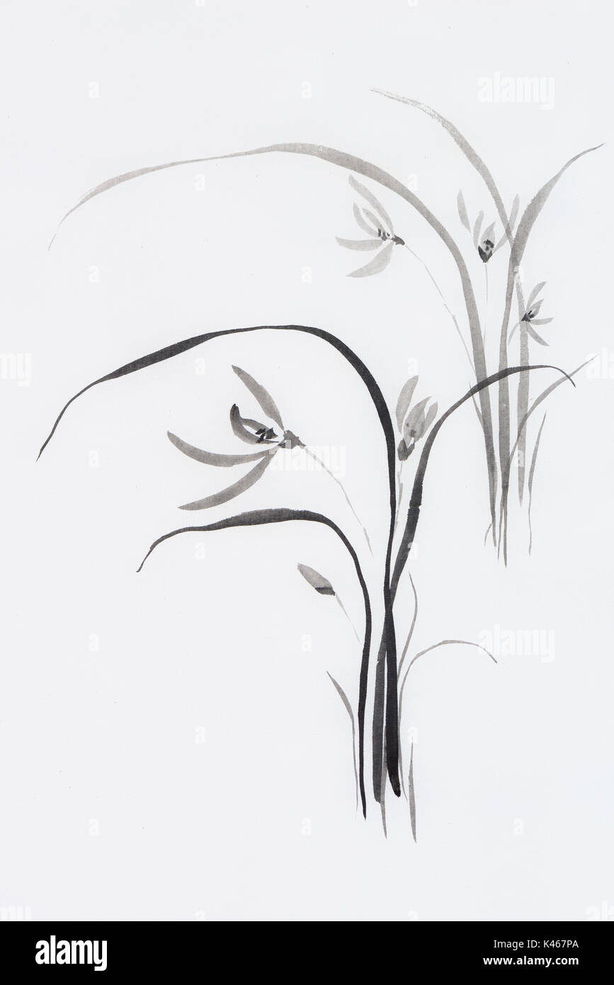 Lizenz erhältlich unter MaximImages.com - wilde Orchideen, Orchideenblumen, japanische Sumi-e Zen-Malerei mit schwarzer Tinte auf Reispapier Illustration feine Kunstwerke Stockfoto