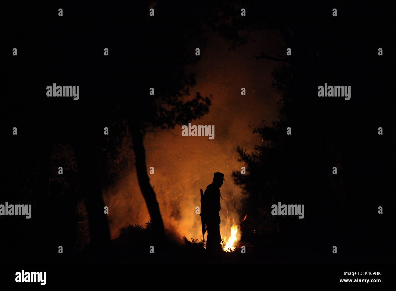 Arbeit De Soldados De El Ejercito Mexicano En La Sierra De Sonora Mexiko Durante La Guerra Contra Los Carteles De La Droga Militarische Entwurzelt Und Verbrannt 16 Tonnen Cannabis In Der Rancho alamy