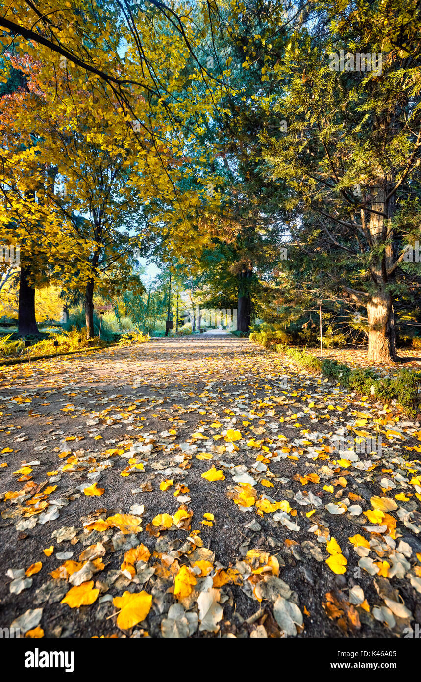 Autumn at the Royal Botanical Garden. Madrid. Spain. Stockfoto