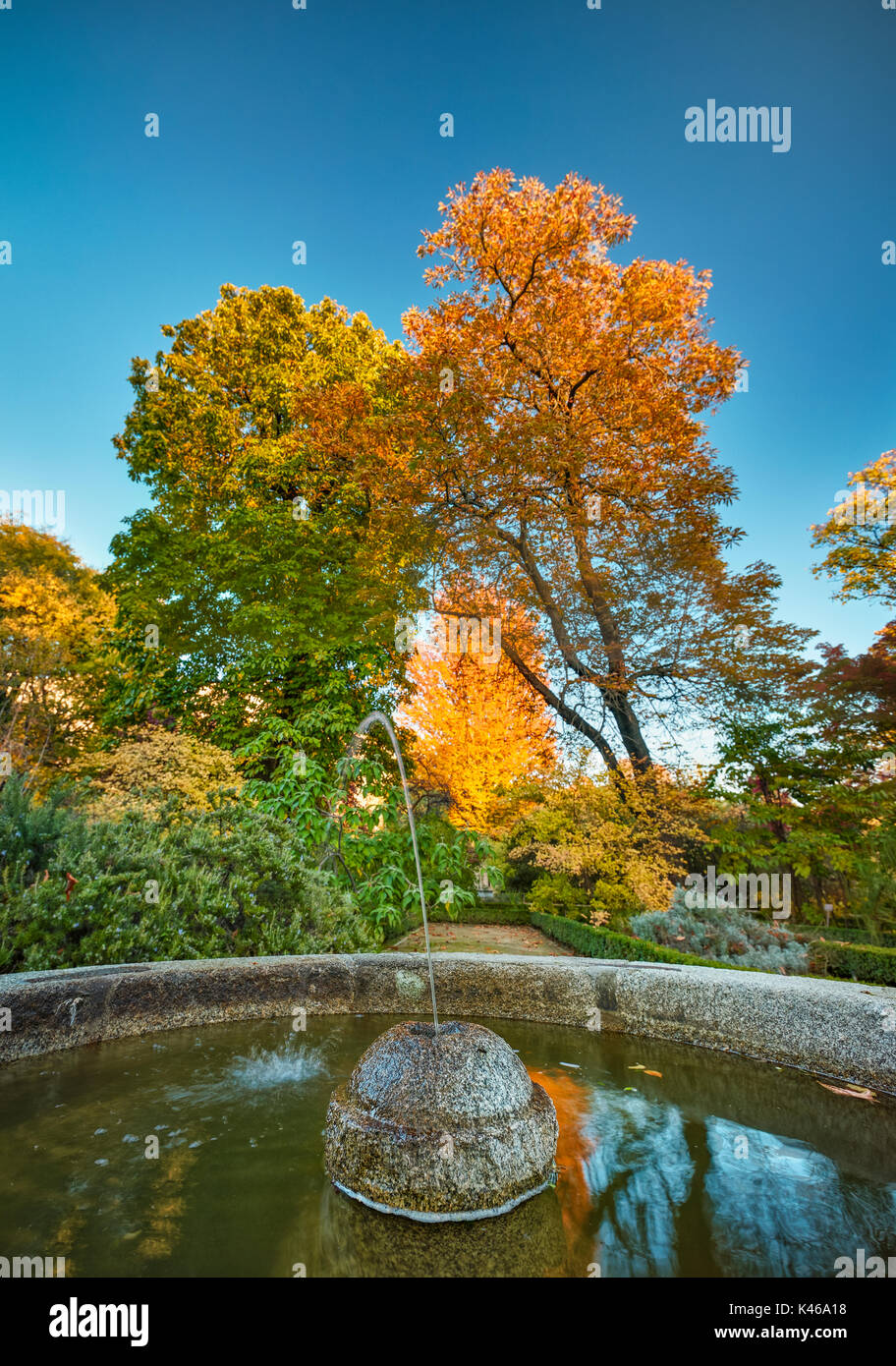Herbst an der Königlichen Botanischen Garten. Madrid. Spanien. Stockfoto