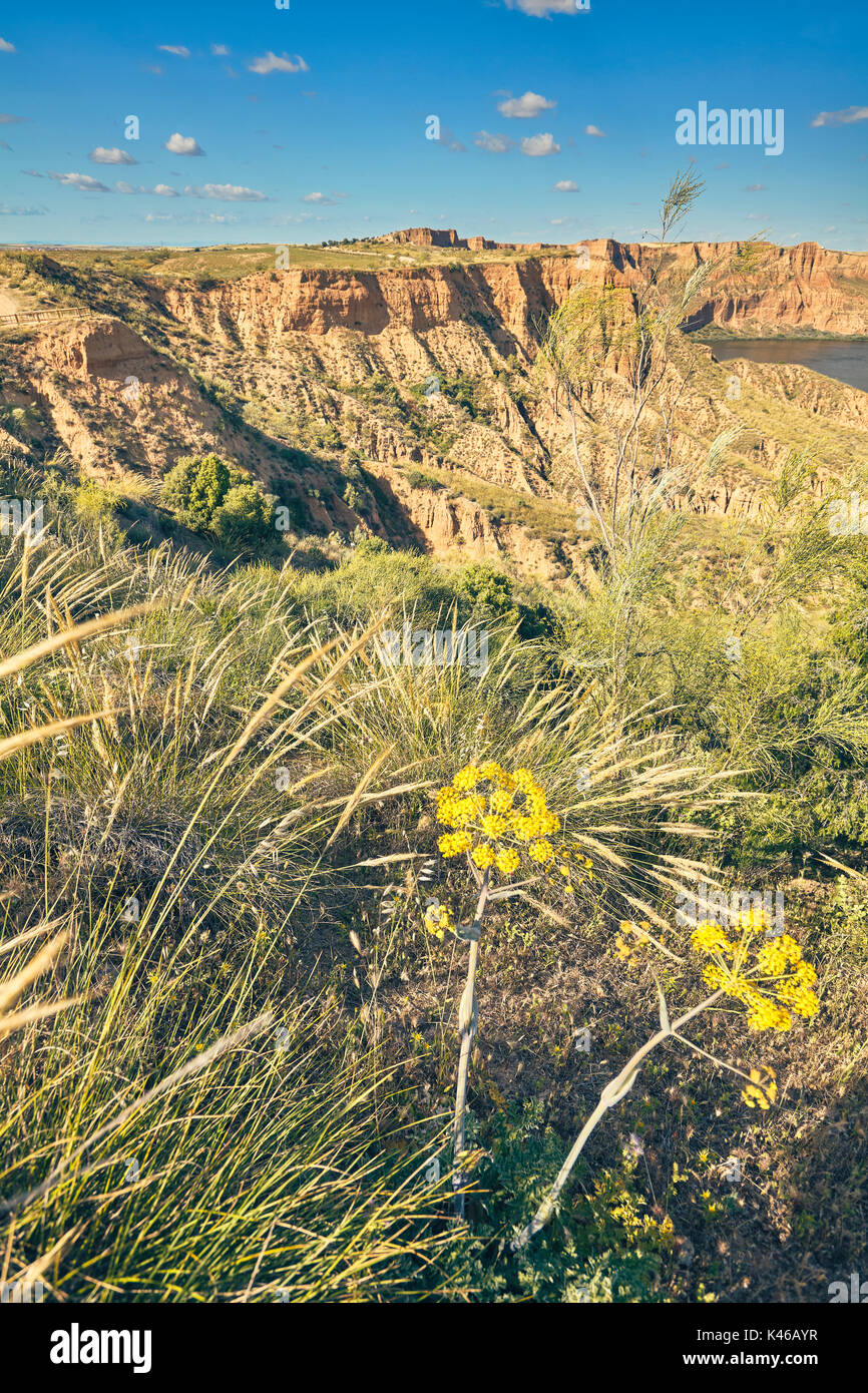 Barrancas de Burujon (Burujon canyons), gullied landscape.Toledo. Castile-La Mancha. Spain Stockfoto