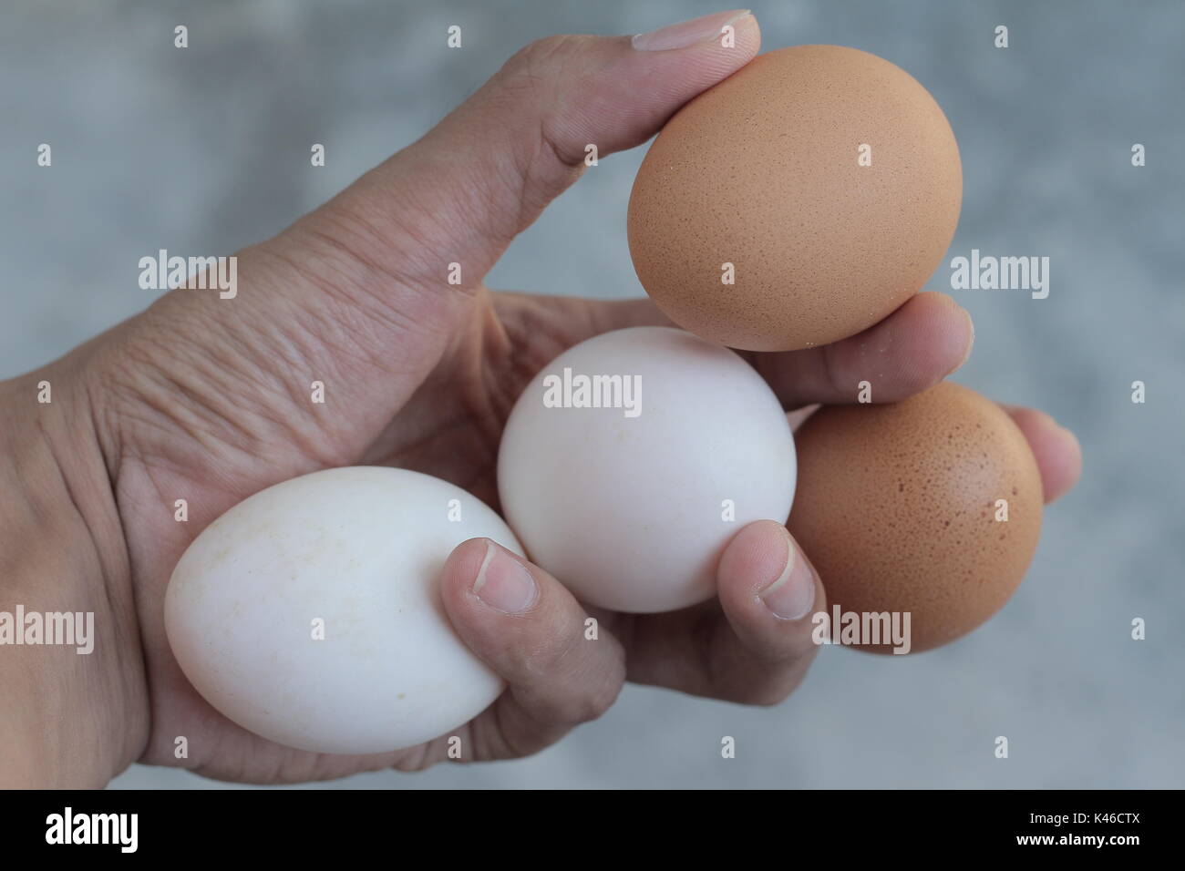 Ente Eier und frisches Huhn Eier Stockfoto