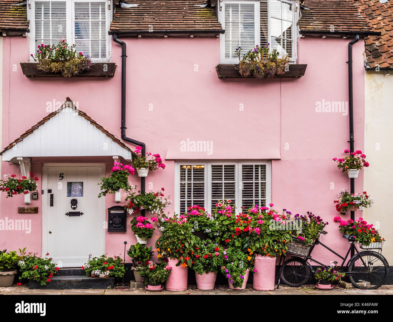 Ein rosa Haus mit bunten Blumen in Dunster High Street in der Nähe von Minehead, Somerset. Stockfoto