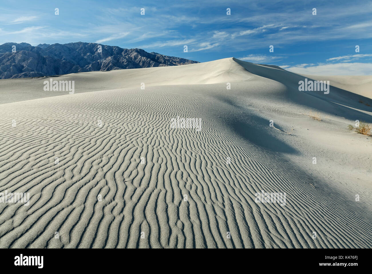 Mesquite flachen Sand Dünen, Death Valley National Park, Kalifornien, USA Stockfoto