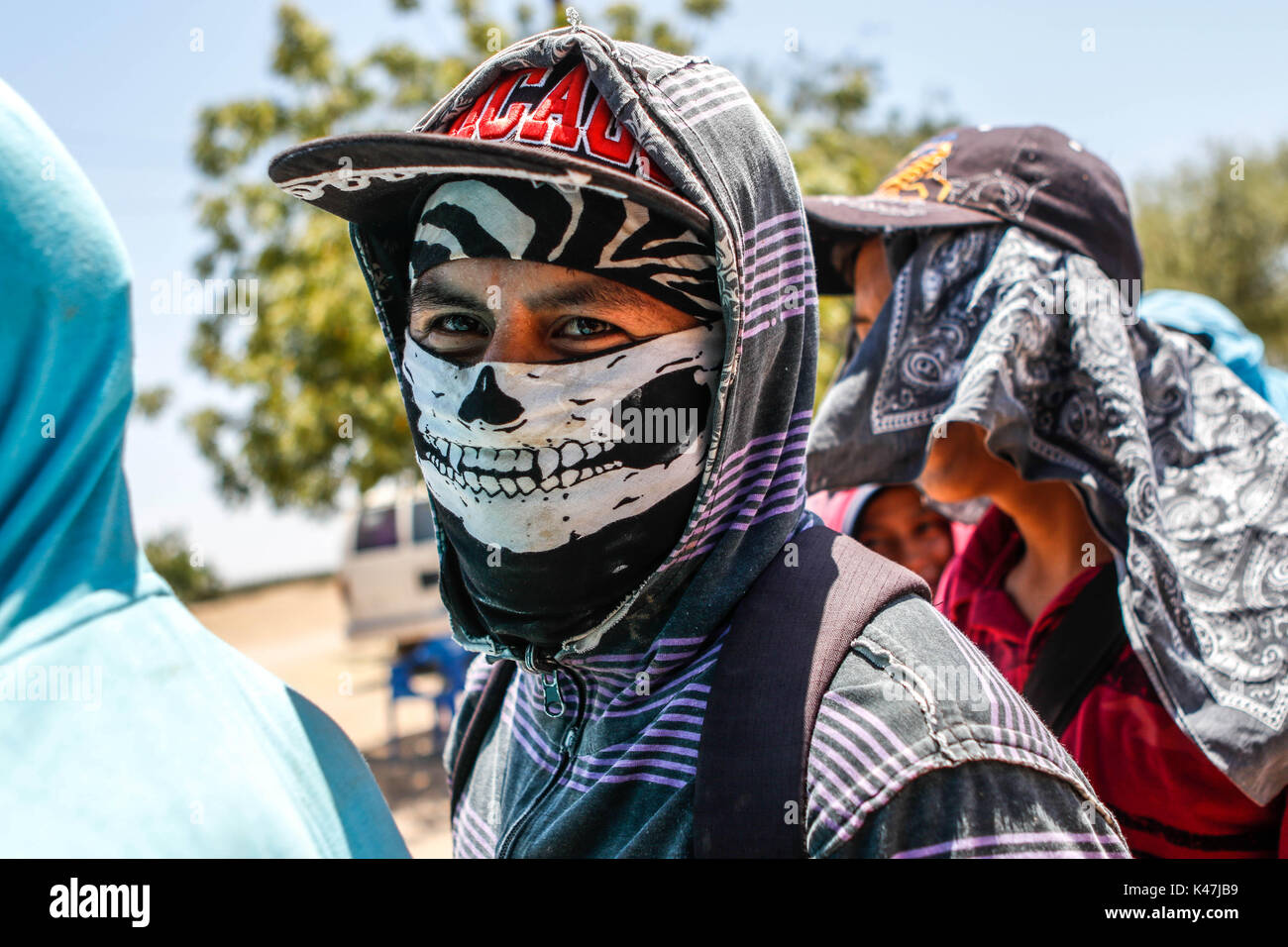 Bahia de Kino, Flora y Fauna del Desierto de Punta Chueca, San Nicolas Sonora Mexiko Stockfoto