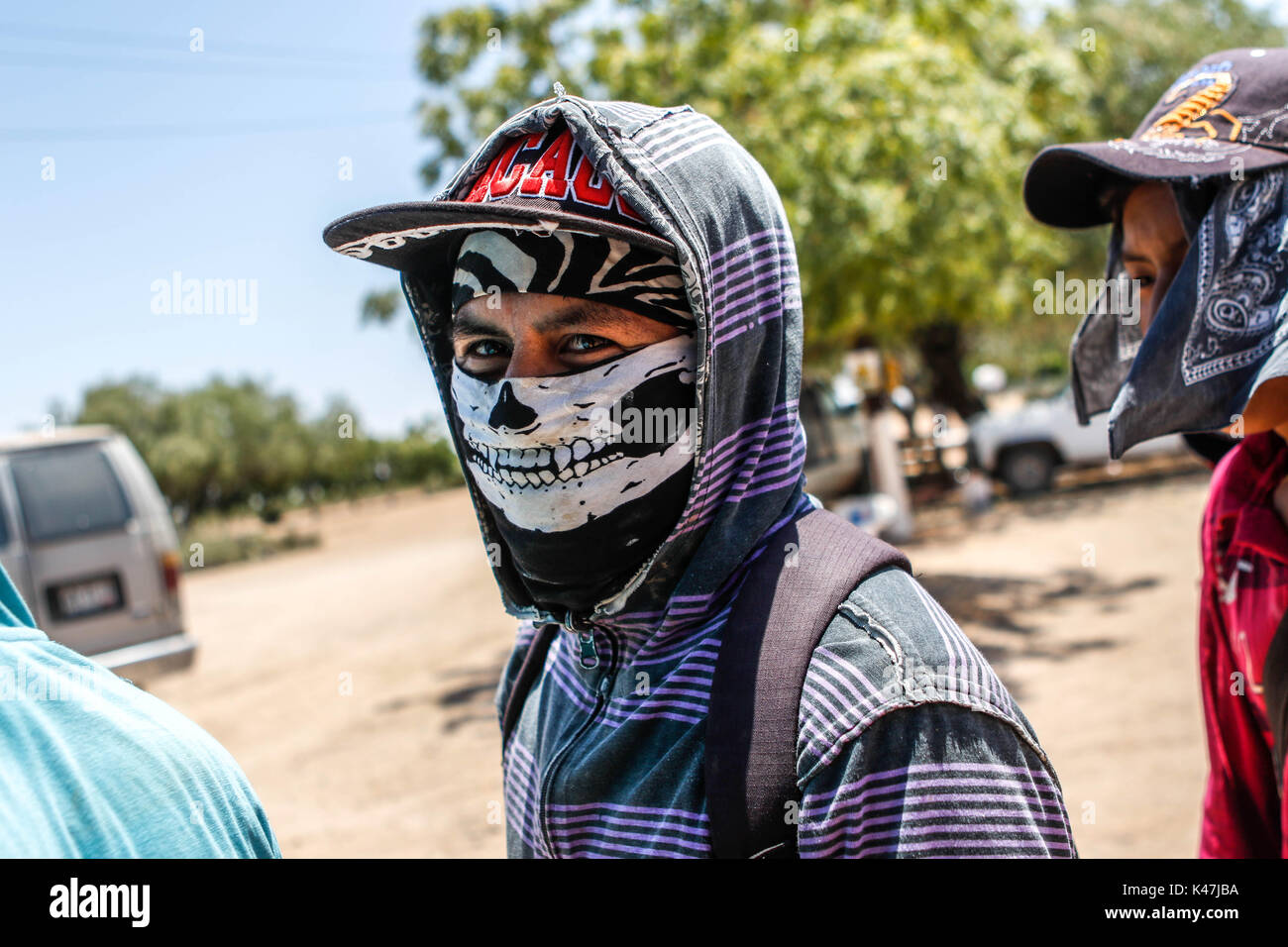 Bahia de Kino, Flora y Fauna del Desierto de Punta Chueca, San Nicolas Sonora Mexiko Stockfoto