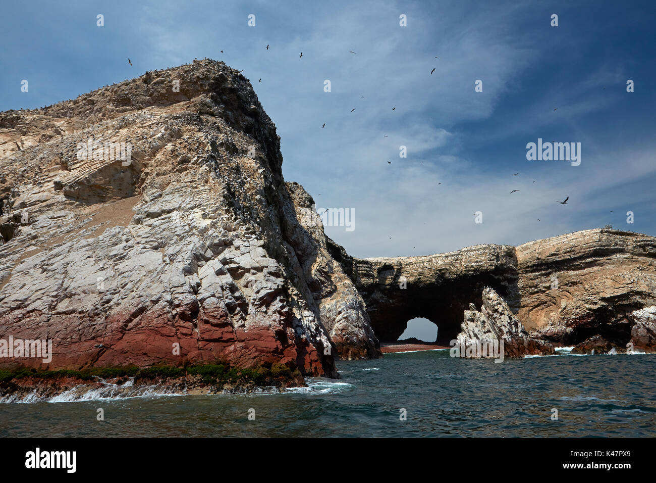 Seevögel und Meer Höhle, Ballestas Inseln, Pisco Provinz, ICA-Region, Peru, Südamerika Stockfoto