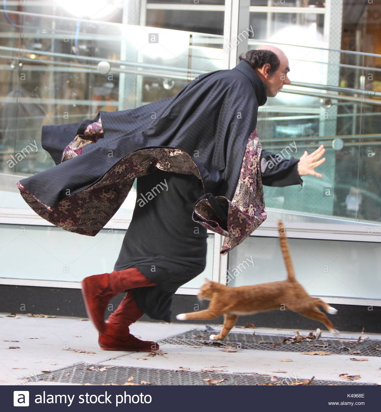 Gargamels Katze Gargamels Katze