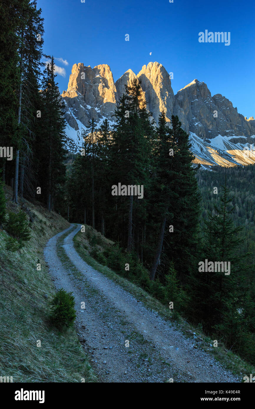 Die Gruppe der Geislergruppe Ansichten von gampen Alm in der Morgendämmerung. Funes Tal. Dolomiten Südtirol Italien Europa Stockfoto
