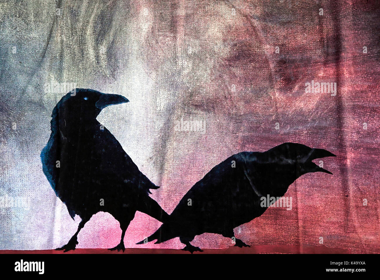 Silhouette von zwei Krähen Stockfoto