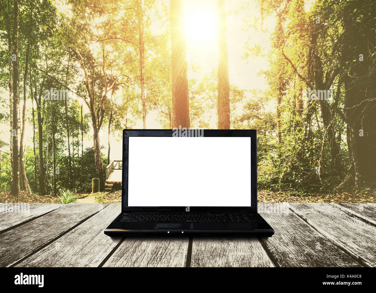 Computer Laptop auf Holztisch, Wald im Sonnenaufgang Hintergrund. Beschneidungspfad leer weißer Bildschirm Stockfoto