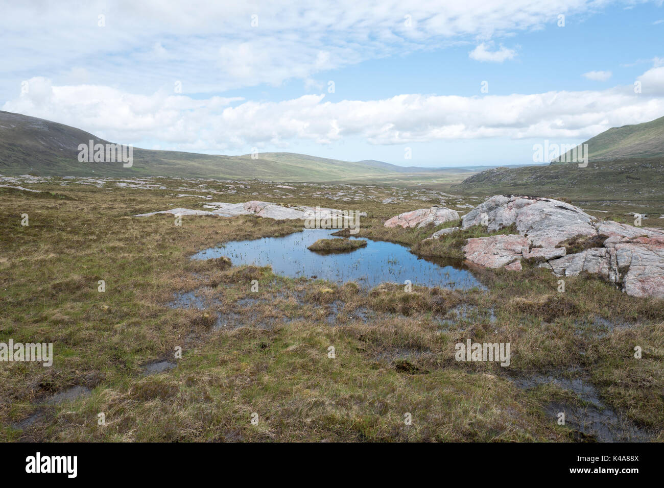 Hochland Lebensraum für die Zucht Greenshank, Strath Dionard NW Sutherland Schottland Juni bog Stockfoto