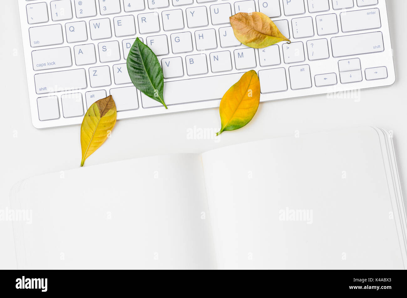 Herbst saisonal Arbeitsplatz Stockfoto