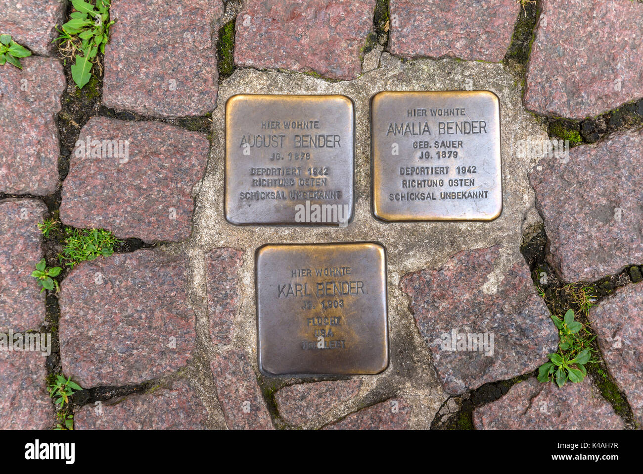 Stolpersteine, Steine des Gedenkens für die Vertriebenen und deportierten Juden während der NS-Zeit, Seligenstadt, Hessen, Deutschland Stockfoto