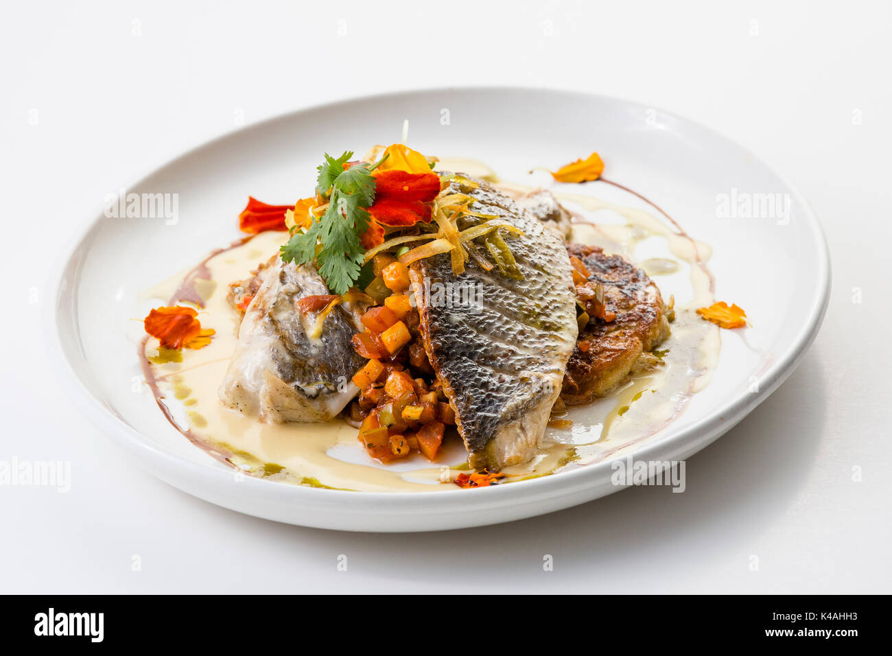 Fischfilet auf Ratatouille und Kartoffel Rösti Stockfoto