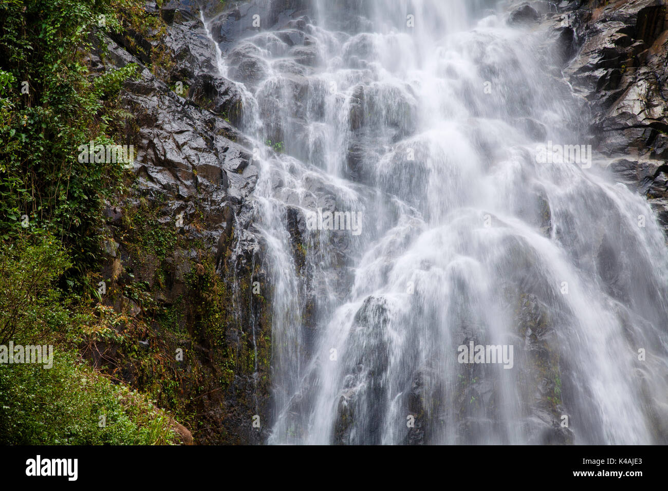 Natürlichen Hintergrund Wasserfall bunte Blätter Wasserfall Thailand tropisch, Nationalpark Khao Nan Sunanta Wasserfall Nakhon Si Thammarat Thailand. Stockfoto