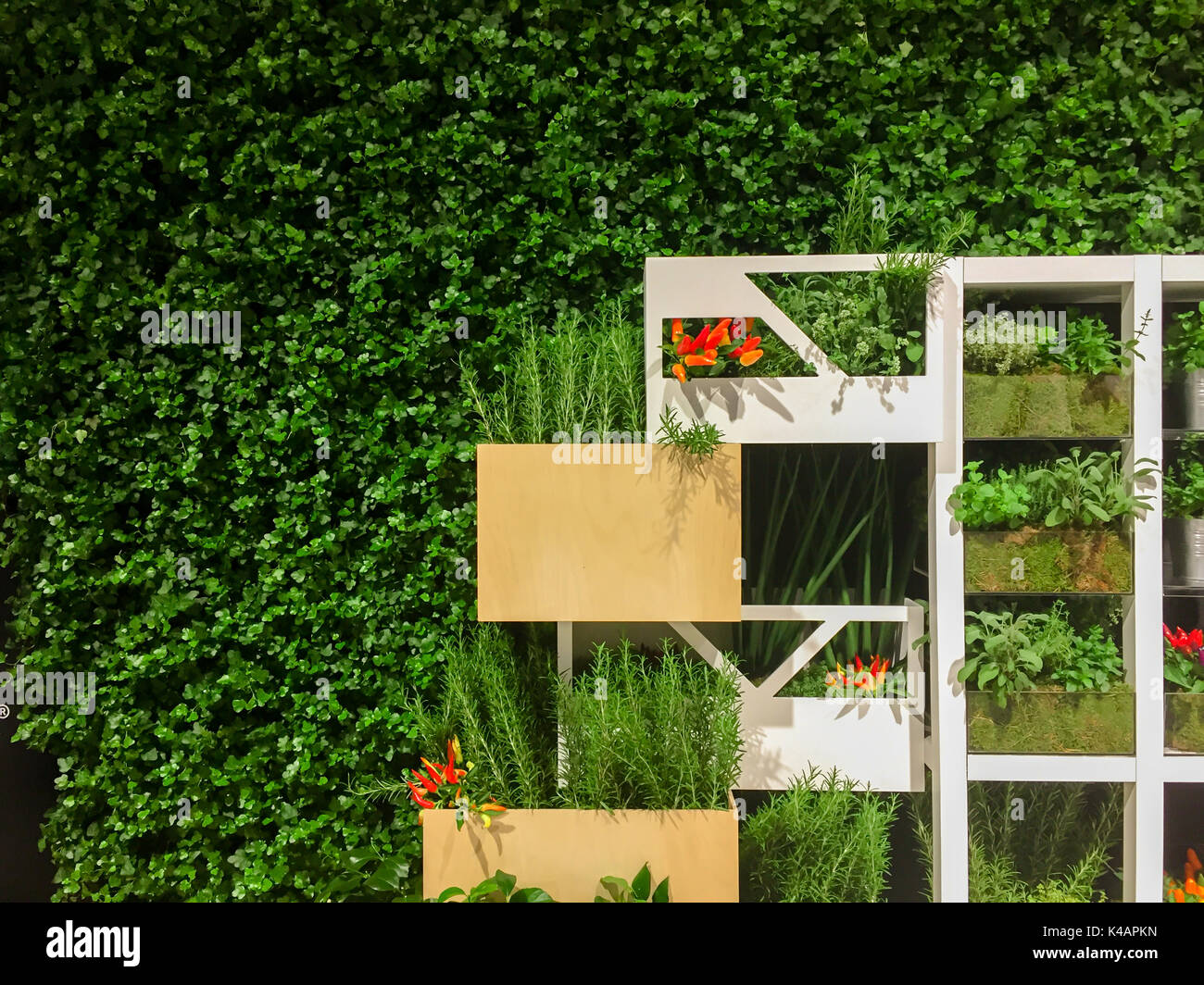 Pflanzen im Bücherregal mit grünen kopieren Platz, nette Innenausstattung Szene Stockfoto