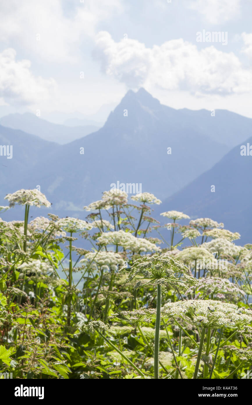 Der guffert IST 2194 Hoch und Ist In den Brandenberger Alpen Stockfoto