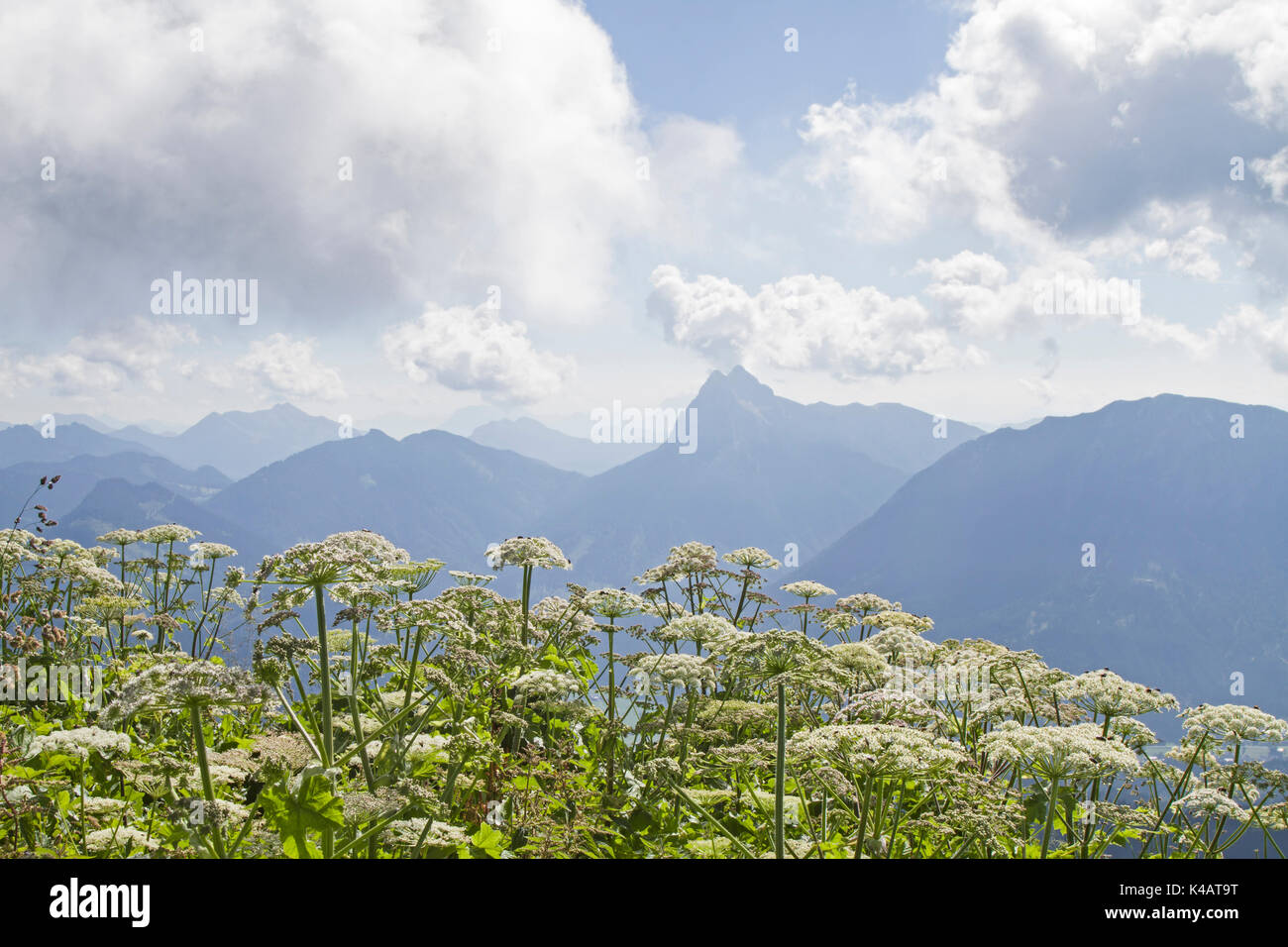 Der guffert IST 2194 Hoch und Ist In den Brandenberger Alpen Stockfoto