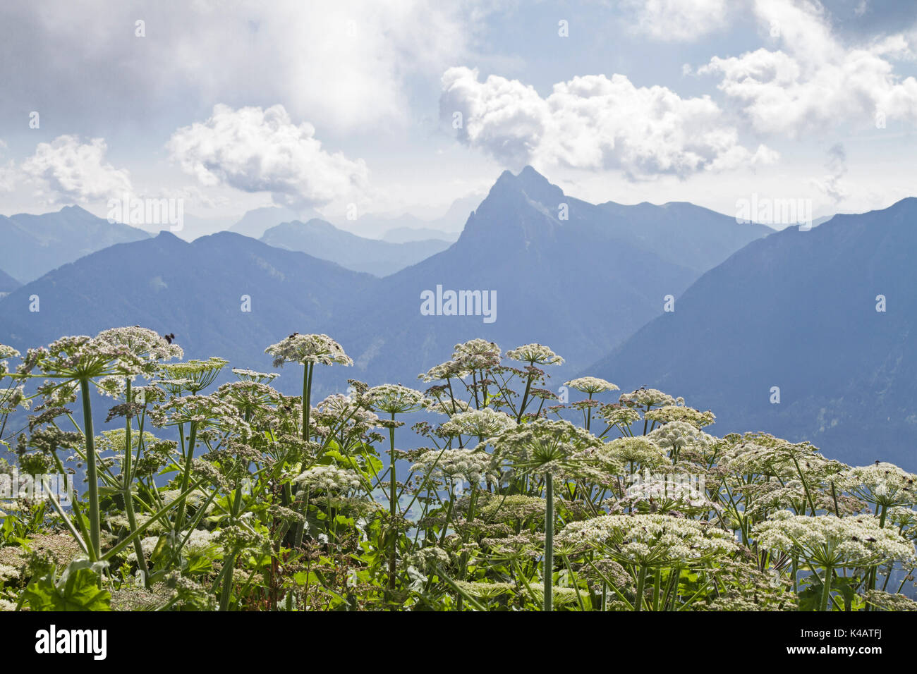 Der guffert IST 2194 Hoch und Ist In den Brandenberger Alpen Stockfoto