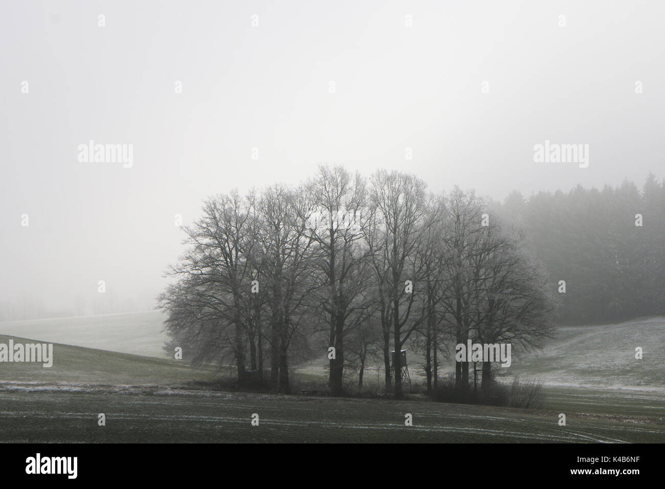 Nebel Stockfoto