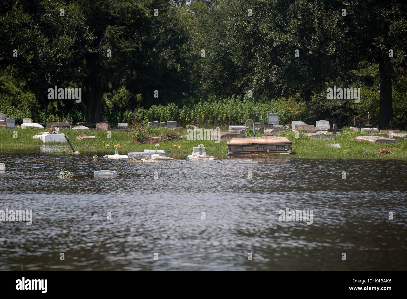 Schatullen Schwimmer in den überschwemmten Hollywood Gemeinschaft Friedhof in die Folgen des Hurrikans Harvey September 4, 2017 in Orange, Texas. Stockfoto