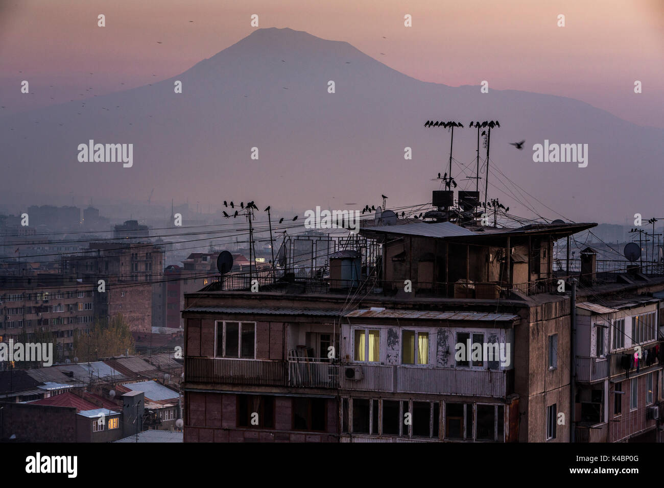 Stadtbild von Armeniens Hauptstadt Eriwan vor der Berg Ararat in der Abendstimmung. Stockfoto