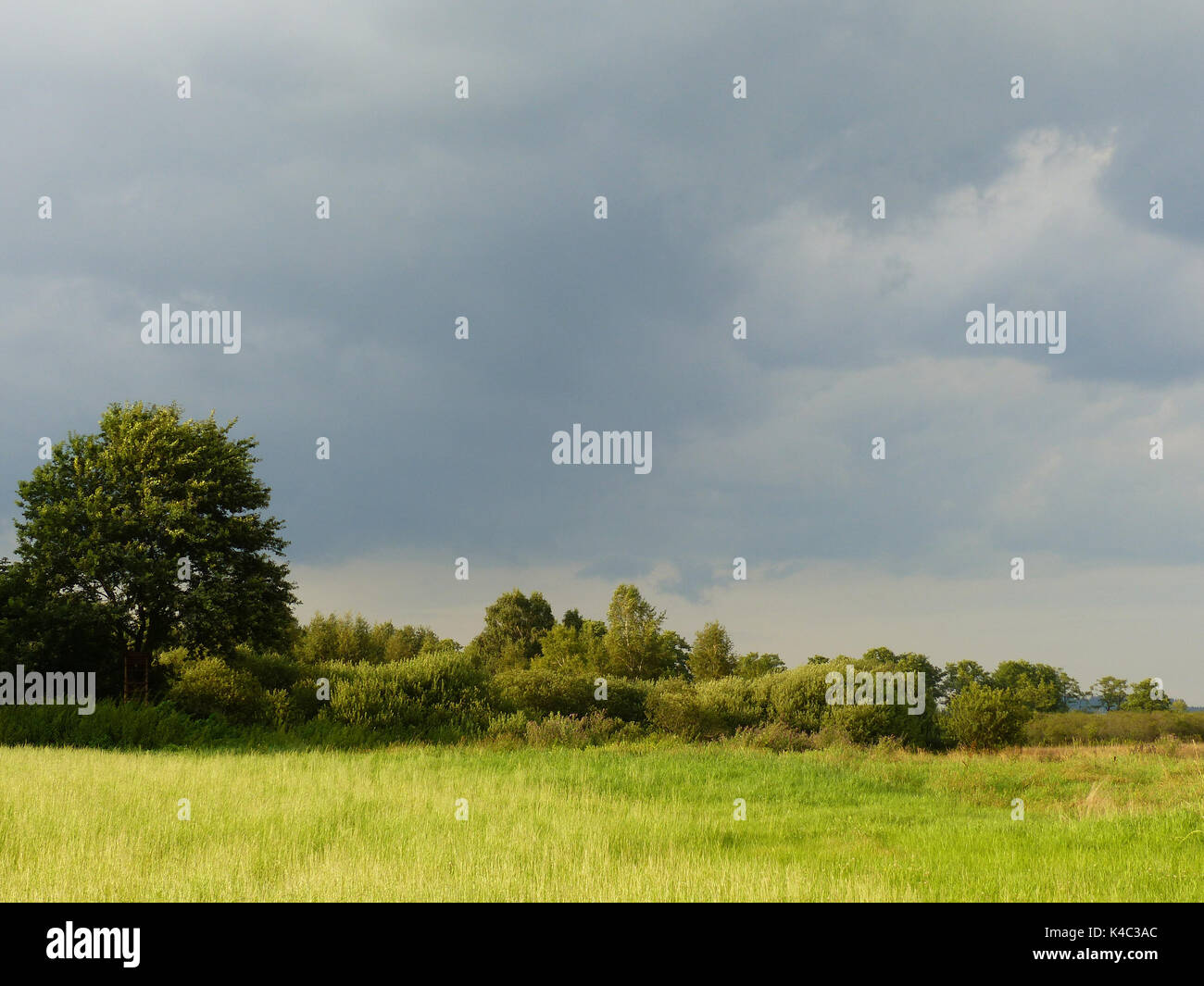 Ampermoss, River Valley Fen in der Nähe Ammersee in Oberbayern Stockfoto