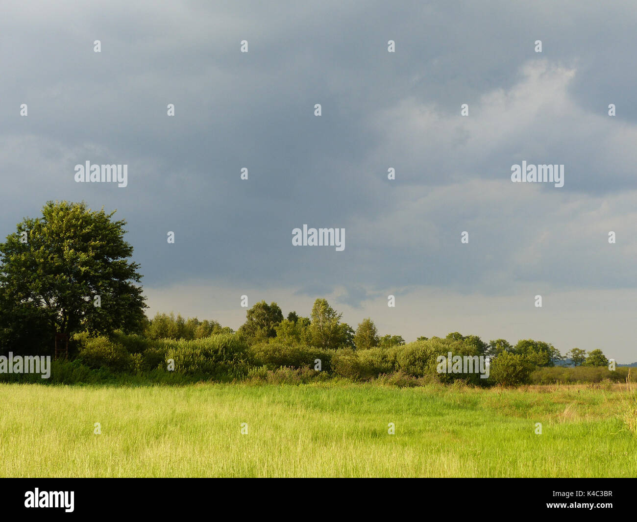 Ampermoss, River Valley Fen in der Nähe Ammersee in Oberbayern Stockfoto