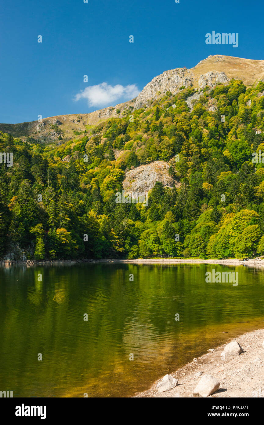 See Schiessrothried, Naturpark Ballons Des Vosges, Elsass, Frankreich Stockfoto