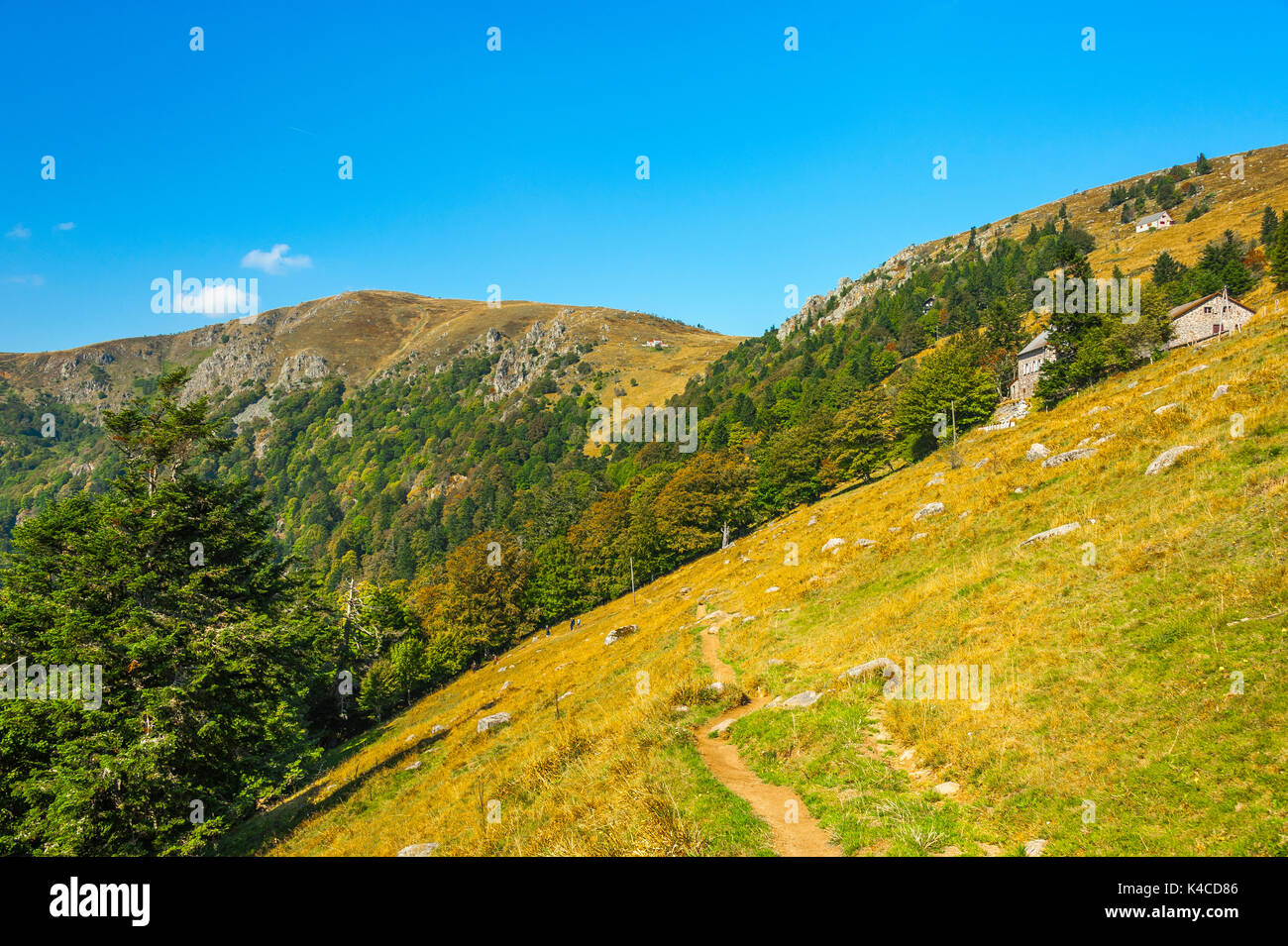 Landschaft Des Naturparks Ballons Des Vosges, Auf Dem Bauernhof Und Gästehaus Schiessrothried, Elsass, Frankreich Stockfoto