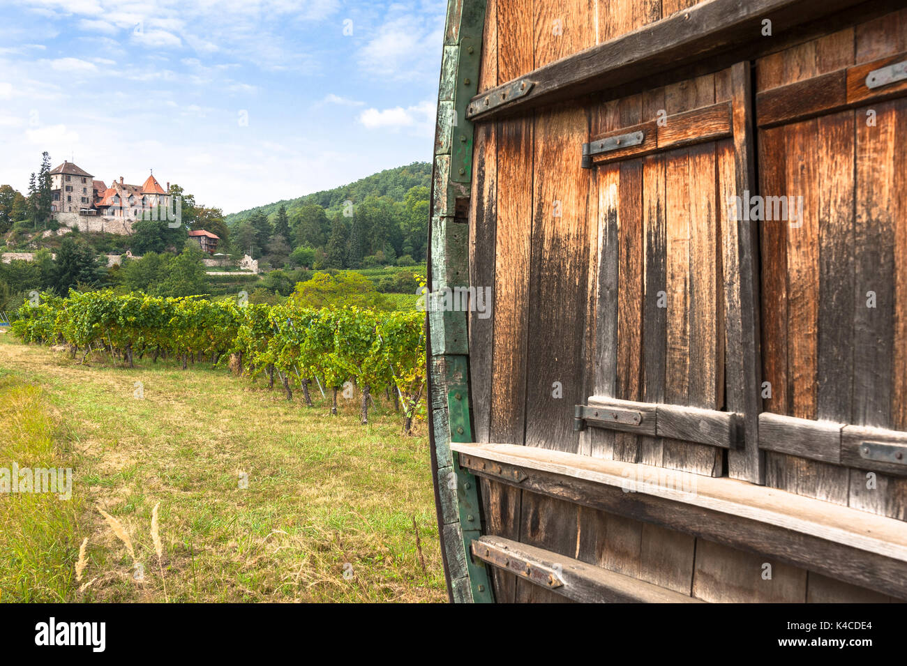 Große Rebe Barrel und schloss die malerische Landschaft der Weinberge, Route der Rebsorten, Elsässisch, Elsass, Frankreich Stockfoto