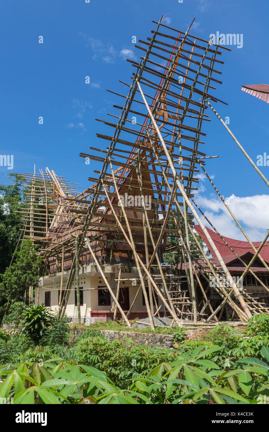 Bau Der Satteldach eines traditionellen Tongkonan Toraja Haus Süd Sulawesi Celebes Indonesien Stockfoto