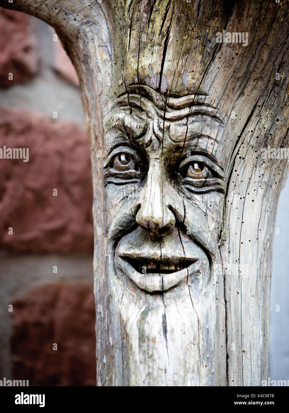 Holzbildhauerei, Gesicht, beim Baumstamm Stockfoto