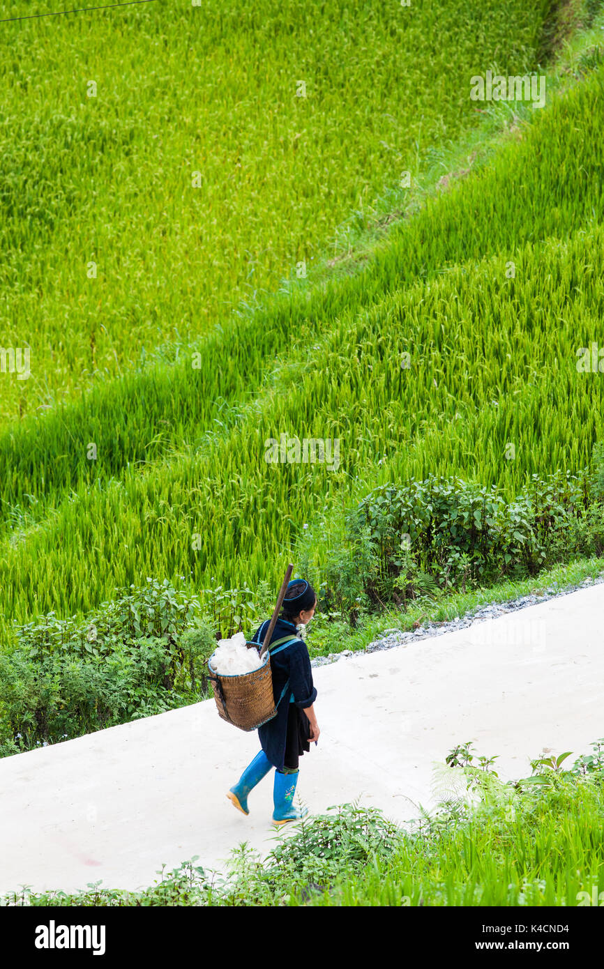 SA PA, VIETNAM - AUGUST 2017: Hmong Frau unter Reisfelder in Cat Cat villagge, Sa Pa, die hohen Berge, Lao Cai Provinz, Vietnam Stockfoto
