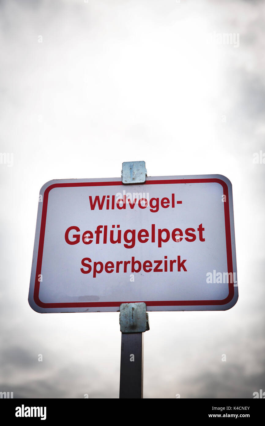 Schild, Schild, Geflügelpest, Eingeschränkter Bereich Stockfoto