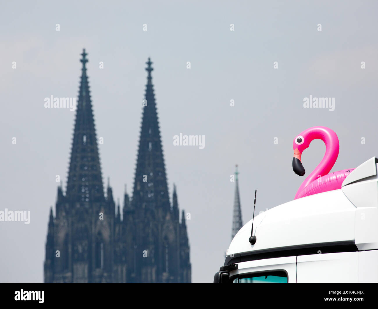Rosa Flamingo Vor dem Kölner Dom, Csd Stockfoto