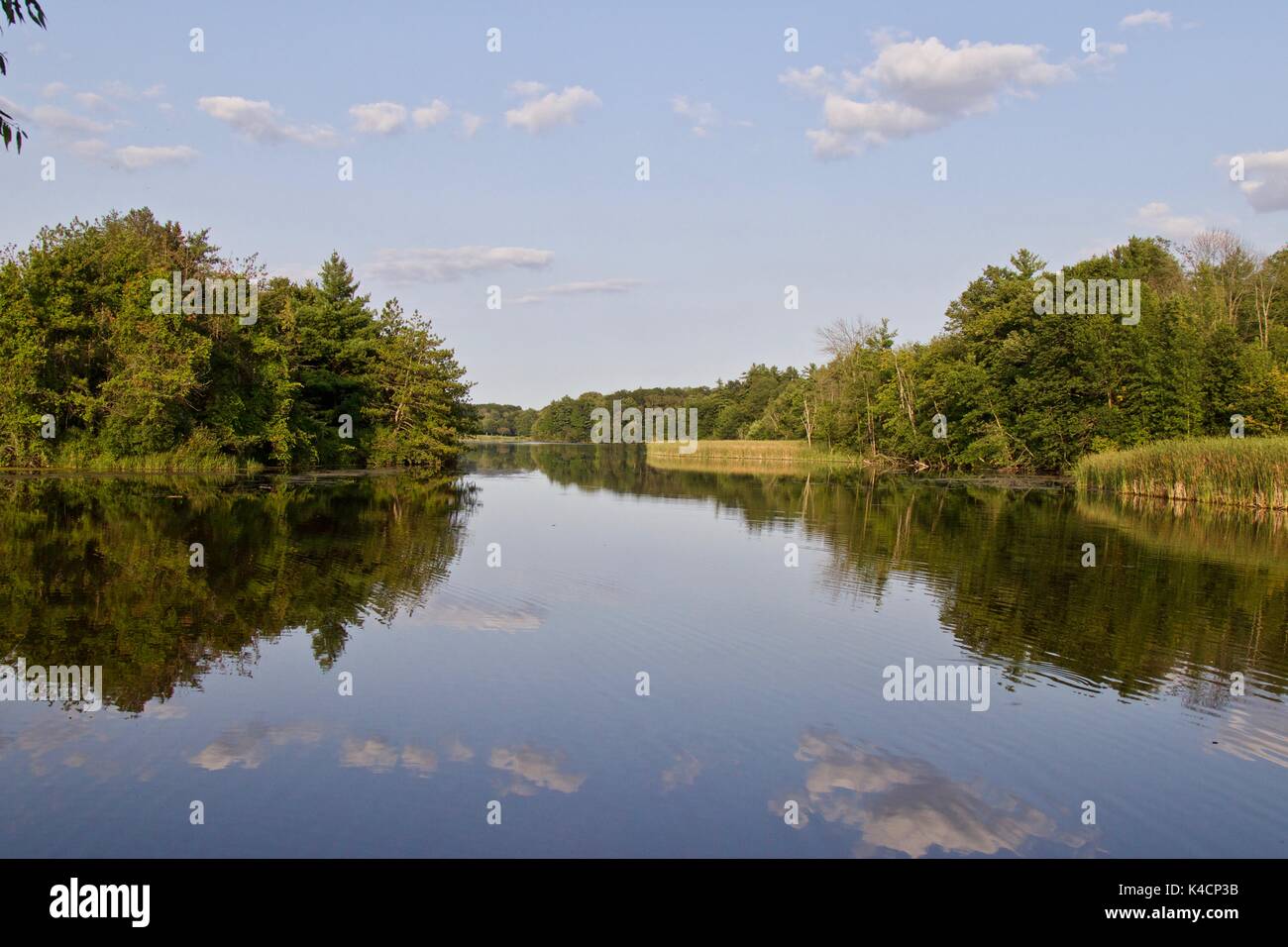 Schönes Bild von einer erstaunlichen See und Wald Stockfoto