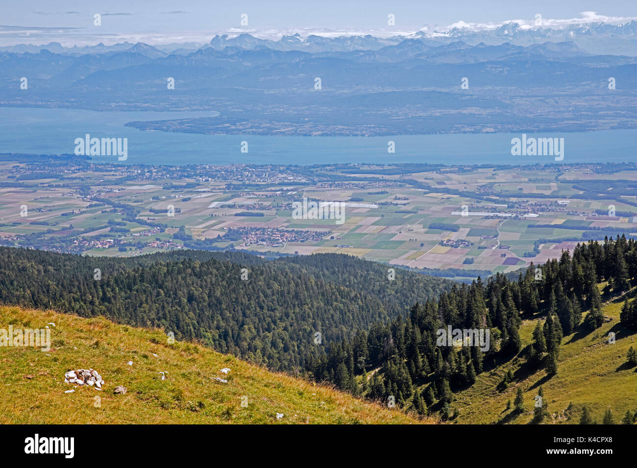 Blick von La Dôle, Berg des Jura, Kanton Waadt, mit Blick auf den Genfer See und die Alpengipfel der Schweizer Alpen in der Schweiz Stockfoto