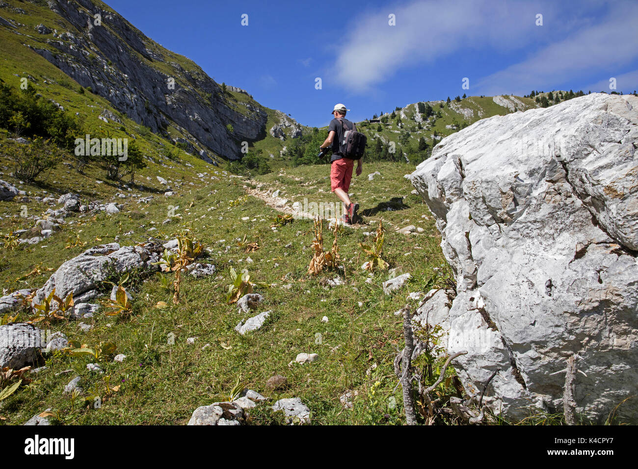 Bergwanderweg entlang des Jura an der französisch-schweizerischen Grenze bei Les Dappes und Les Rousses, Bourgogne-Franche-Comté, Frankreich Stockfoto