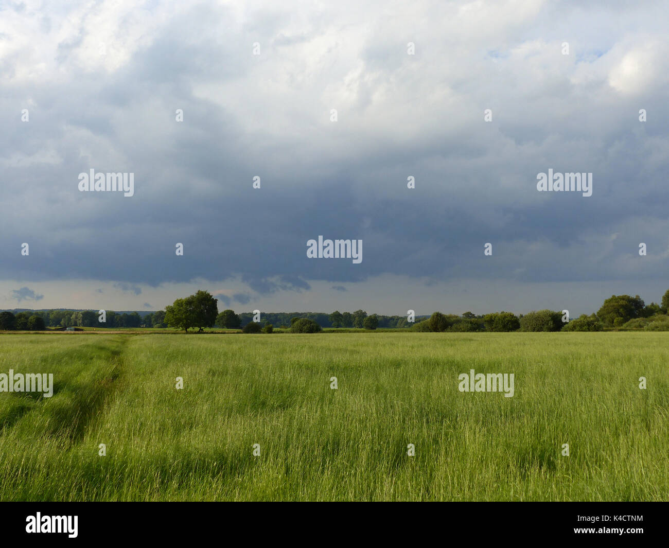 Ampermoss, River Valley Fen in der Nähe Ammersee in Oberbayern Stockfoto