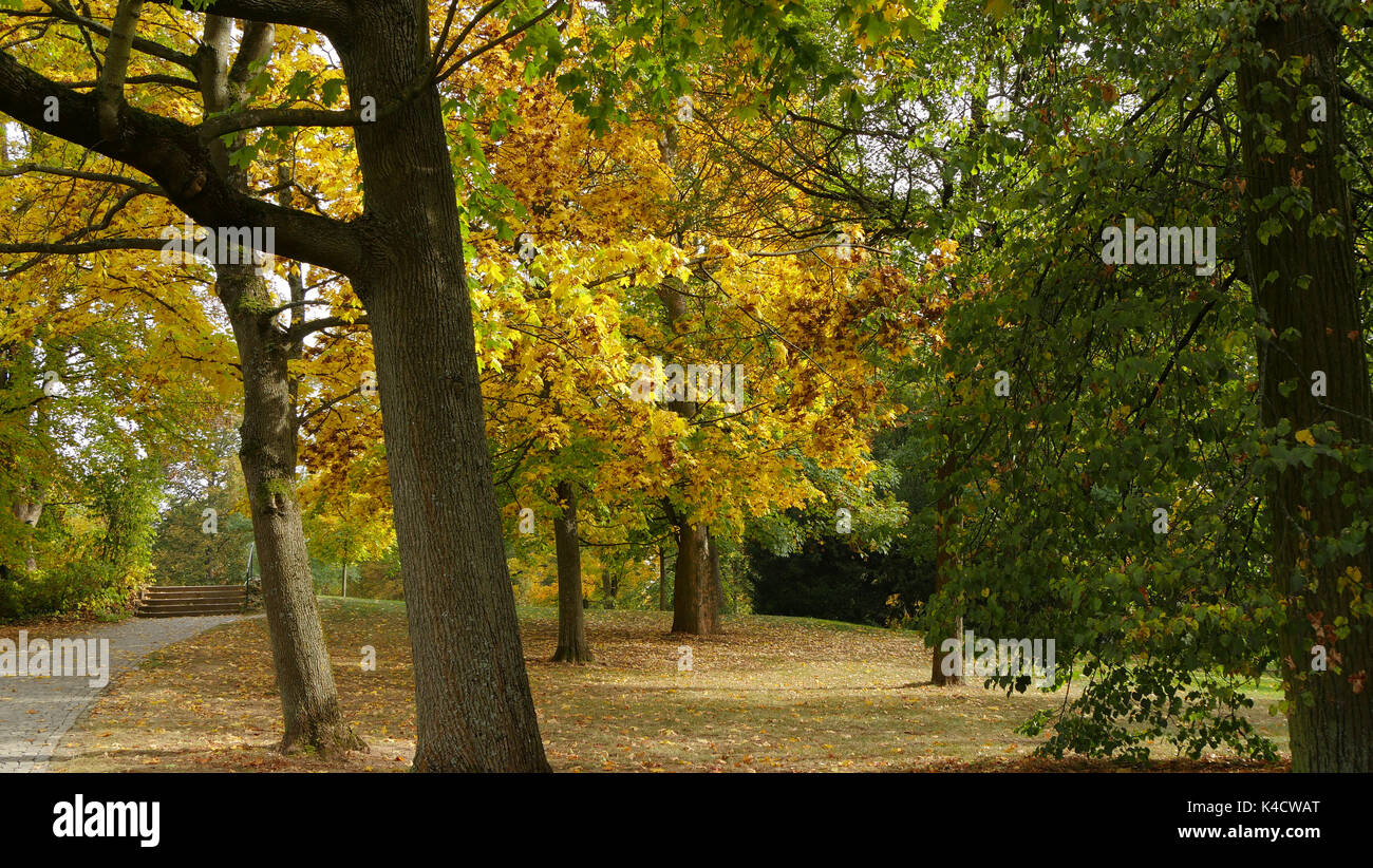 In Coburg im Herbst, Oberfranken Hofgarten Stockfoto In Coburg im Herbst, Oberfranken Hofgarten Stockfoto