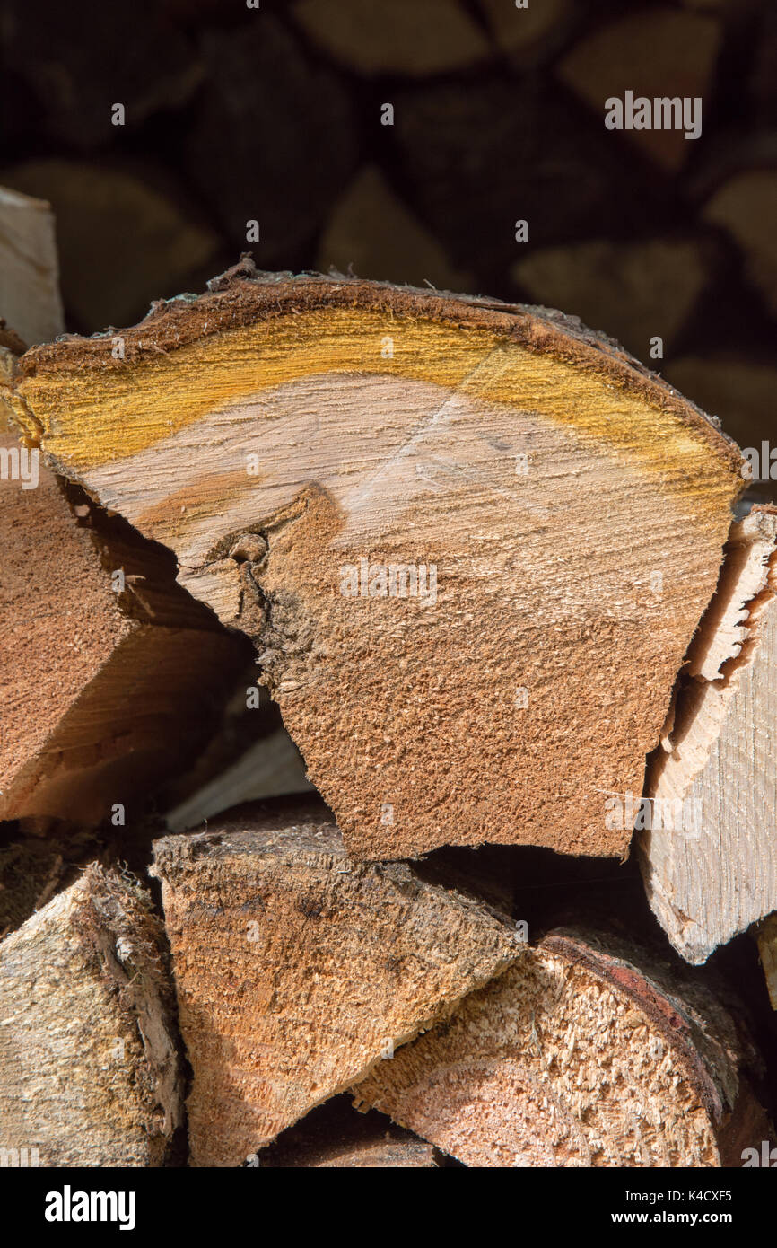 Frisch Split und gestapelt Blauholz (Brennholz) Hauptsächlich Hartholz. Erneuerbare Energieträger. 42 Bilder fotografiert aus einer Reihe von Abständen und Winkeln. Stockfoto