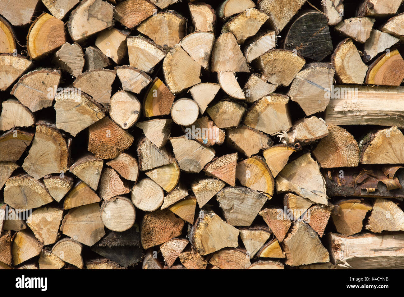 Frisch Split und gestapelt Blauholz (Brennholz) Hauptsächlich Hartholz. Erneuerbare Energieträger. 42 Bilder fotografiert aus einer Reihe von Abständen und Winkeln. Stockfoto