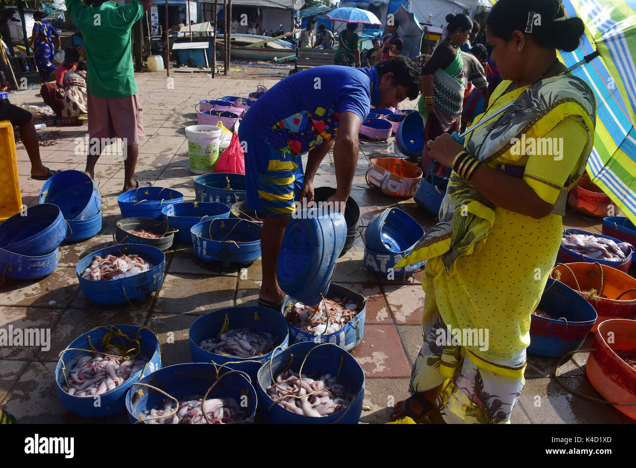 Mumbai, Indien. 5. September 2017. Koli Angeln Gemeinschaft Mann und Frauen an versova Fischmarkt in Mumbai. Stockfoto