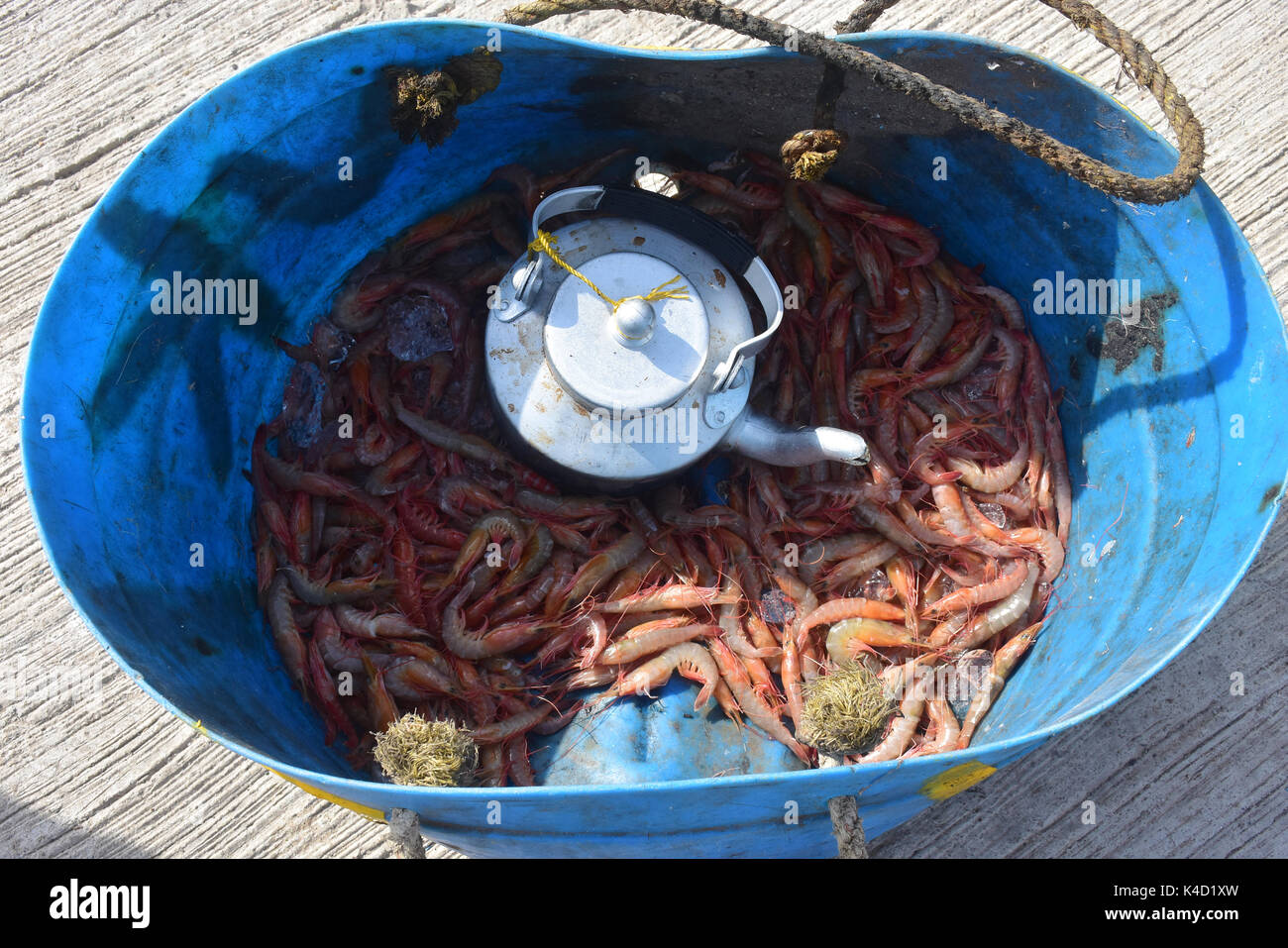 Mumbai, Indien. 5. September 2017. Koli Angeln Gemeinschaft Mann und Frauen an versova Fischmarkt in Mumbai. Stockfoto
