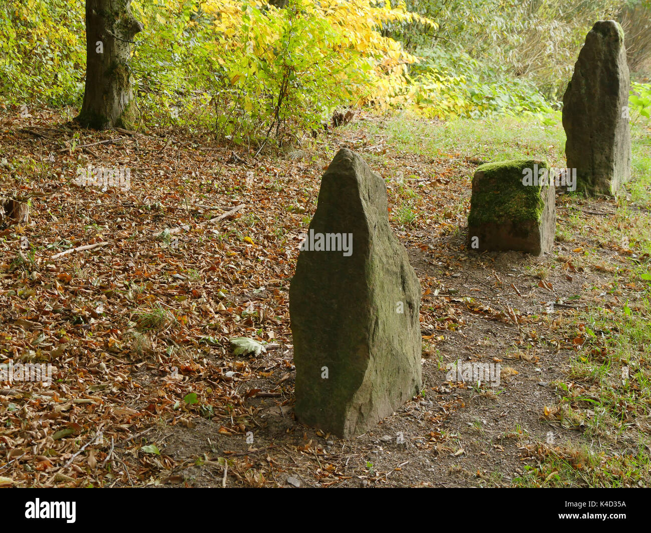Einige Felsbrocken zwischen Bayern und Thüringen Stockfoto Einige Felsbrocken zwischen Bayern und Thüringen Stockfoto